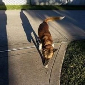 Meet your Posher, Vickie